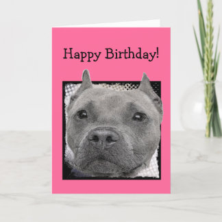 Tarjeta de bienvenida feliz cumpleaños Pitbull