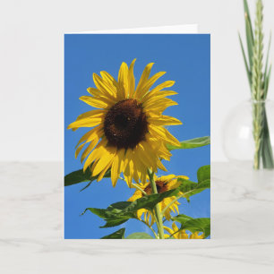 Tarjeta de bienvenida girasol