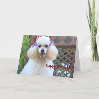 Tarjeta de bienvenida Happy Toy Poodle Dog
