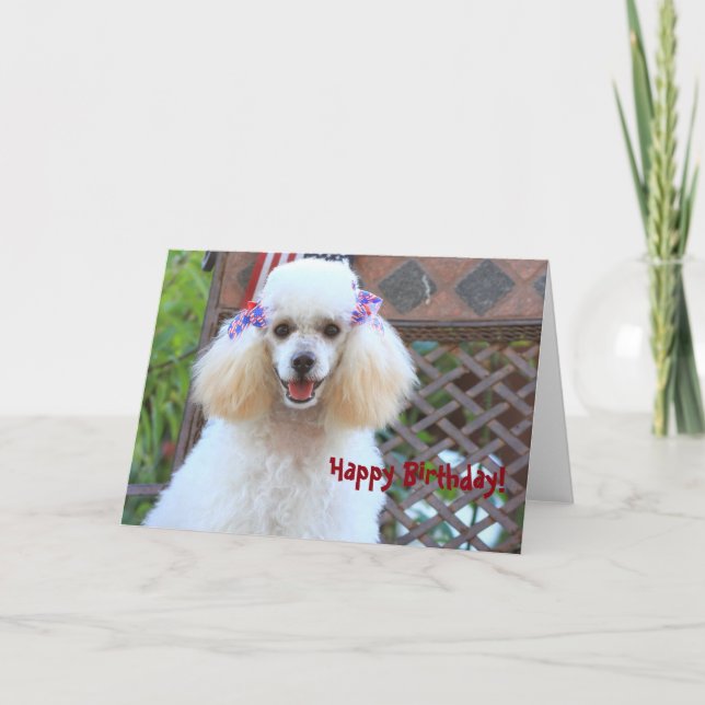 Tarjeta de bienvenida Happy Toy Poodle Dog (Anverso)