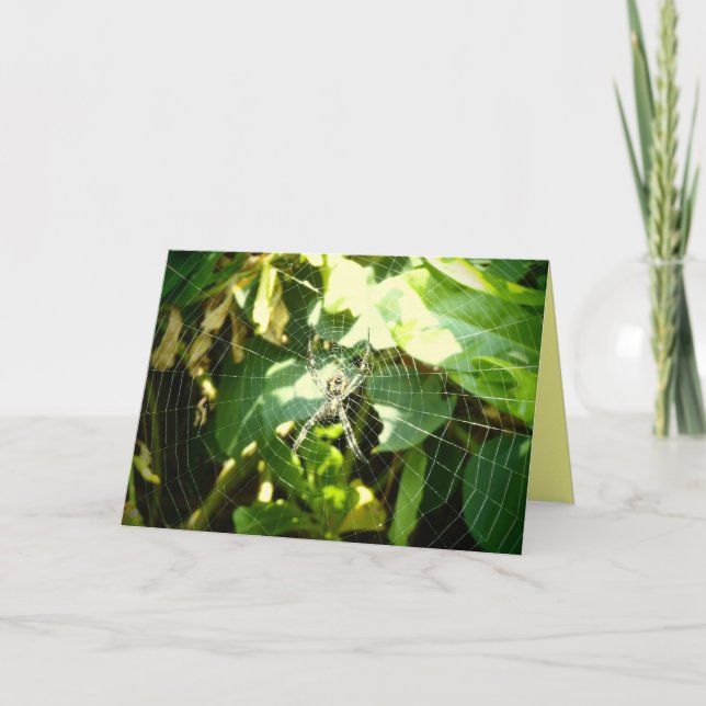 Tarjeta de bienvenida Hawaii para telaraña (Anverso)