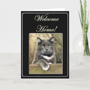 Tarjeta de bienvenida para gatos de casa