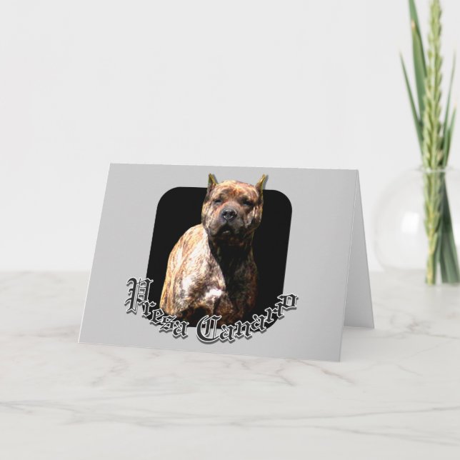 Tarjeta de bienvenida Presa Canario (Anverso)