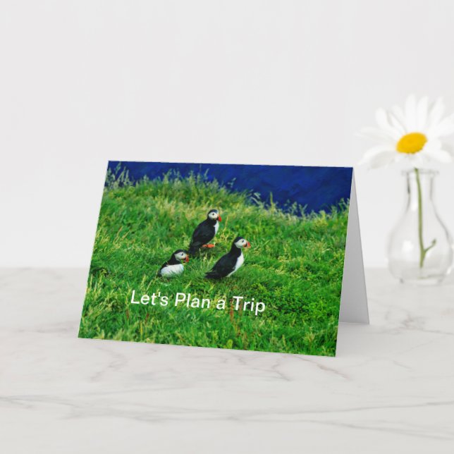 Tarjeta de bienvenida Puffins (Planta pequeña)