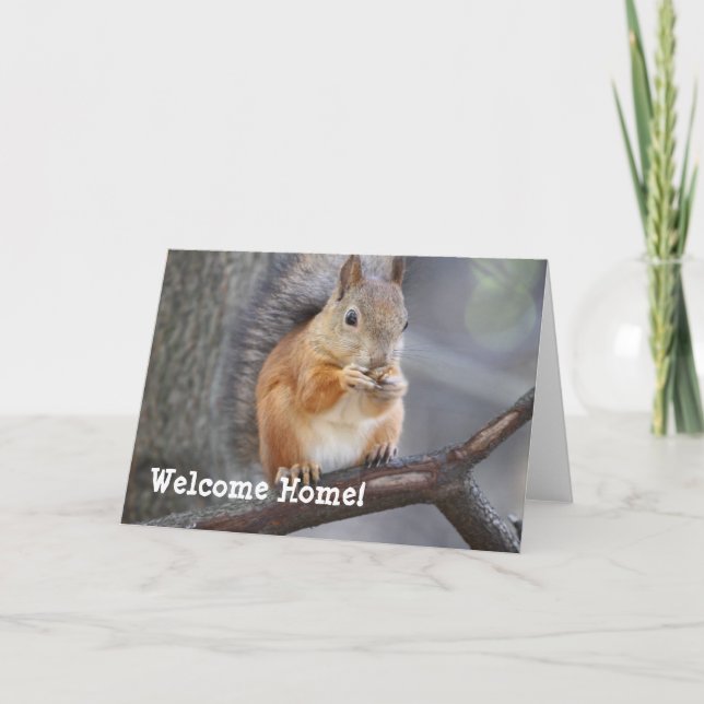 Tarjeta de bienvenida Red Squirrel (Anverso)