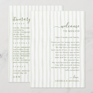 Tarjeta de bienvenida y itinerario de boda con ray