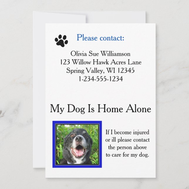 Tarjeta de billetera de atención al Mascota de eme (Anverso)
