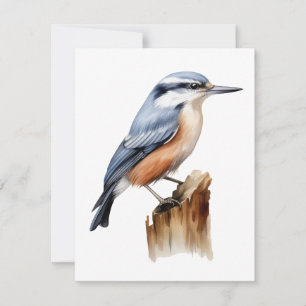 Tarjeta de Bird Plana