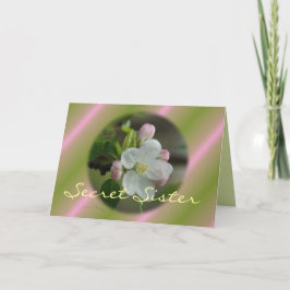 Tarjeta de Bloom de Apple Hermana Secreta - person