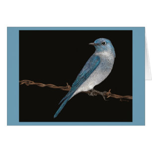 Tarjeta de Bluebird de montaña