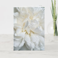 Tarjeta de boda de rosa inglesa blanca de cerca