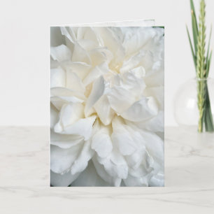 Tarjeta de boda de rosa inglesa blanca de cerca