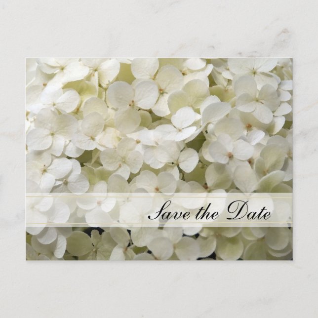 Tarjeta de bodas de Flor de Hortensia Blanca para  (Anverso)