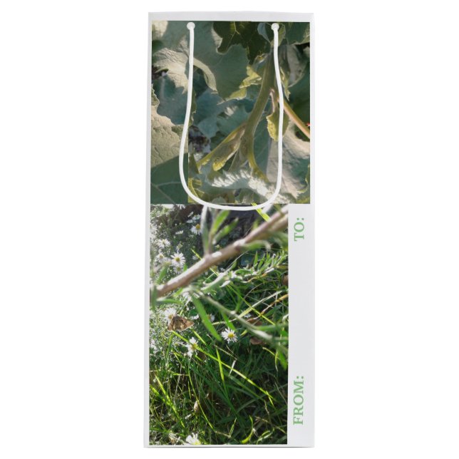 TARJETA DE Bolsa DE regalo de VINO DISEÑO COMBO/ M (Anverso)