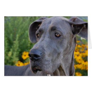 Tarjeta de Bonito de búsqueda