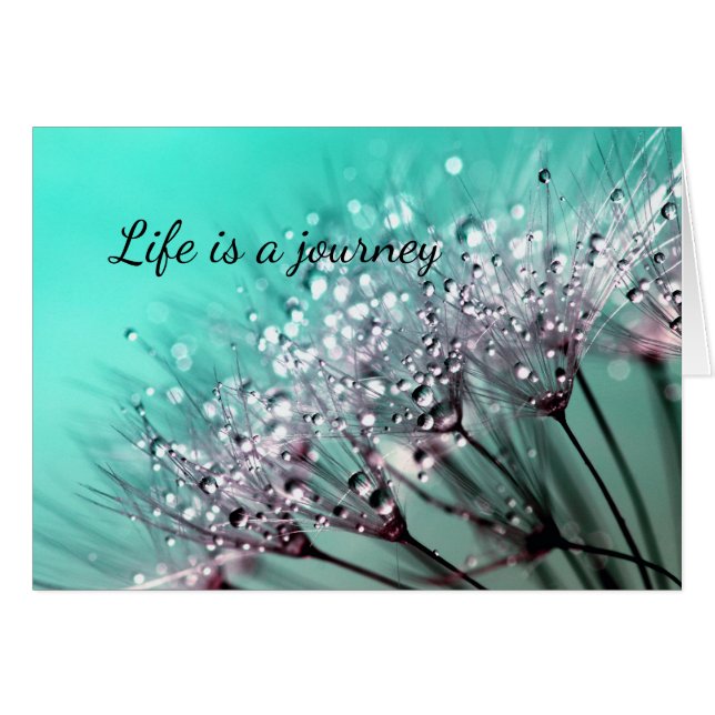 Tarjeta de bonsái de cactus Aqua Bloom para cualqu (Anverso (Horizontal))