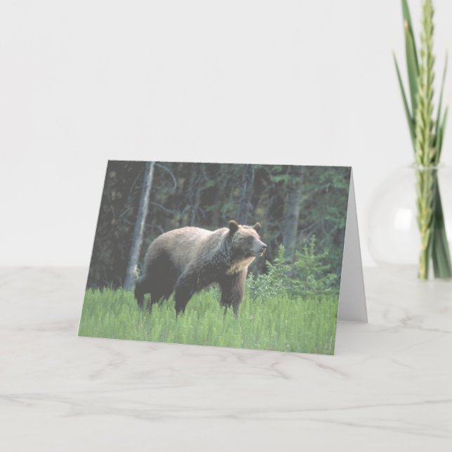 Tarjeta de bosque Grizzly Bear (Anverso)