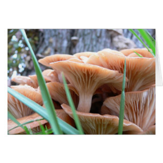 Tarjeta de Bosque Mushroom