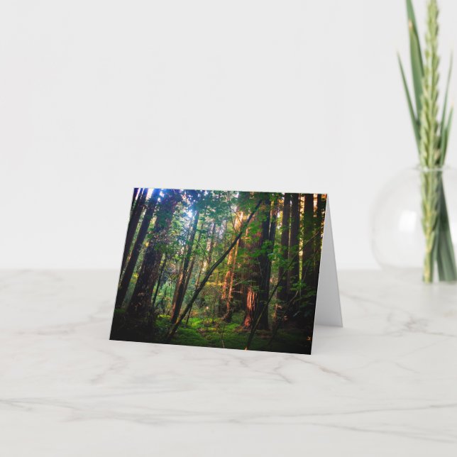 Tarjeta de bosque Redwood (Anverso)