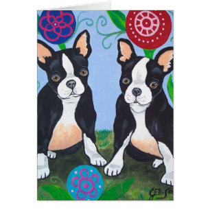 Tarjeta de Boston Terrier