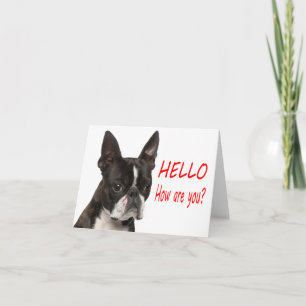 Tarjeta de Boston Terrier Cachorro Perro
