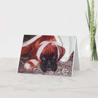 Tarjeta de Boxer Dog "Get Well Pronto"