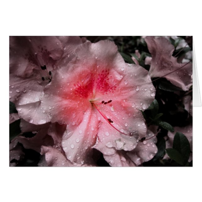 Tarjeta de brillo interior (Anverso (Horizontal))