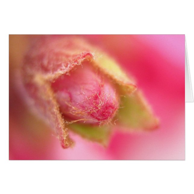 Tarjeta de Buceo (Anverso (Horizontal))