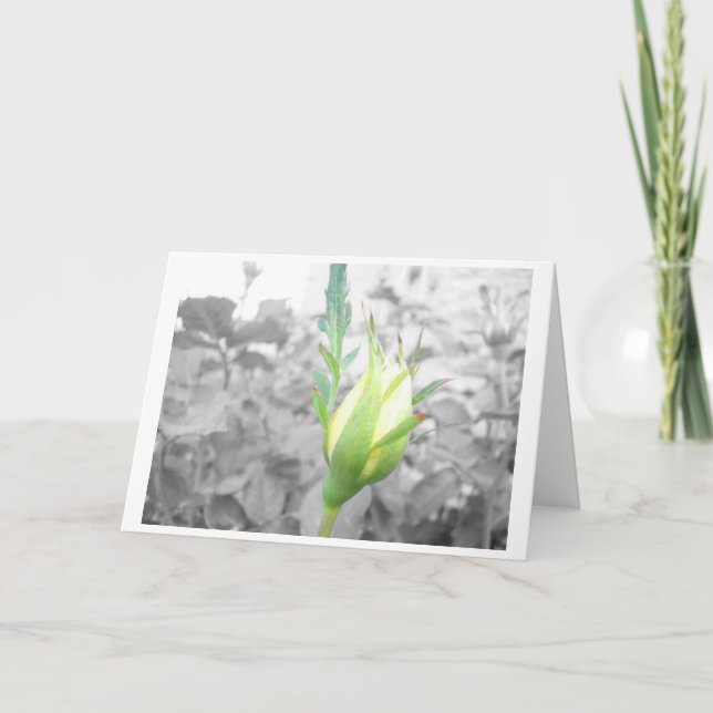 tarjeta de bud amarilla (Anverso)