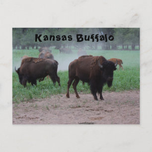 TARJETA DE Búfalo POST de Kansas