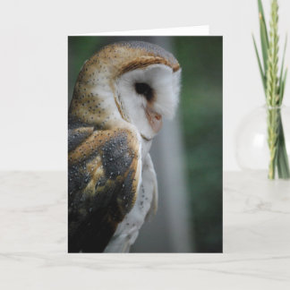 Tarjeta de búho de Barn