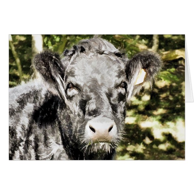 TARJETA DE BULL (Anverso (Horizontal))