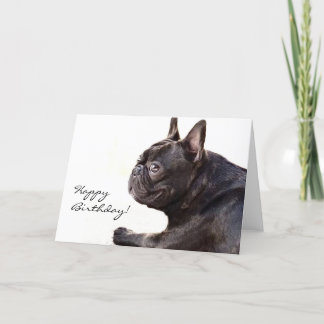 Tarjeta de Bulldog francesa de cumpleaños feliz