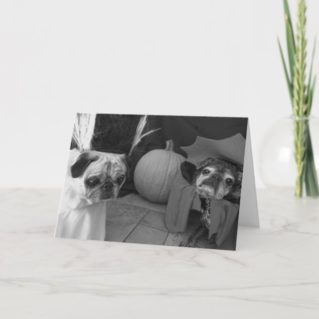 Tarjeta de Bumblesnot Halloween: Encanto en usted (Anverso)