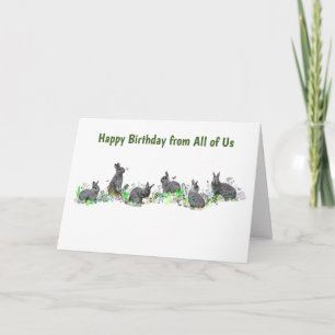 Tarjeta de Bunny Meadow (Cumpleaños)