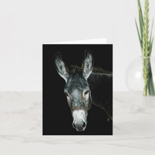 Tarjeta de burro - "Rocky"