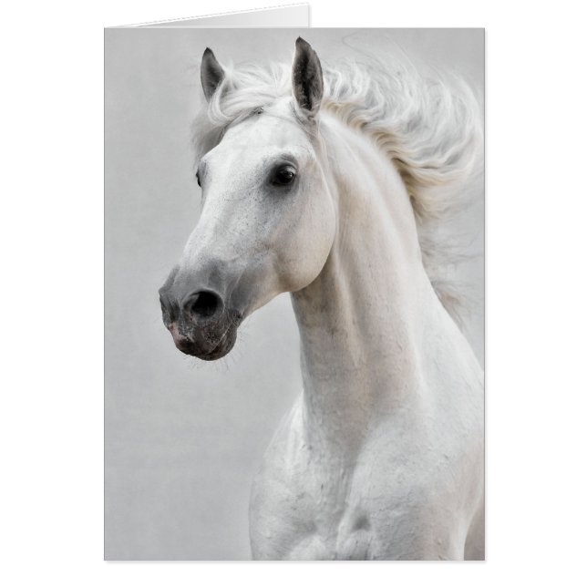 Tarjeta de caballo (Frente)