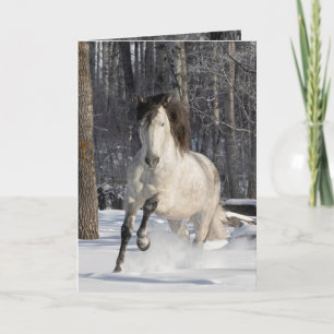Tarjeta de Caballo Andaluz en el Bosque