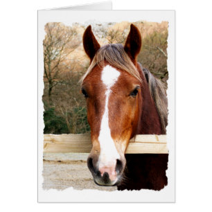 TARJETA DE CABALLO DE CHESTNUT