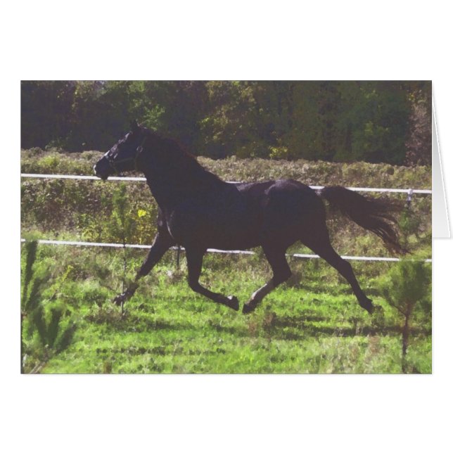 Tarjeta de caballo en ejecución (Anverso (Horizontal))