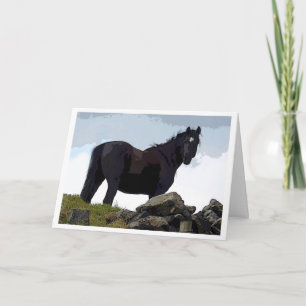Tarjeta de caballo negro