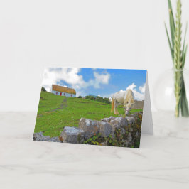 Tarjeta de caballo pastando en Irlanda