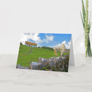 Tarjeta de caballo pastando en Irlanda