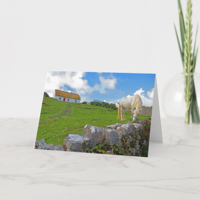 Tarjeta de caballo pastando en Irlanda (Anverso)