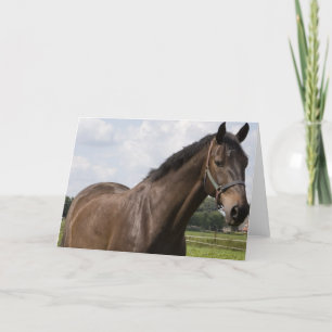 Tarjeta de caballo tostada