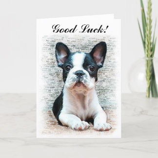 Tarjeta de cachorro de Bulldog francés Good Luck