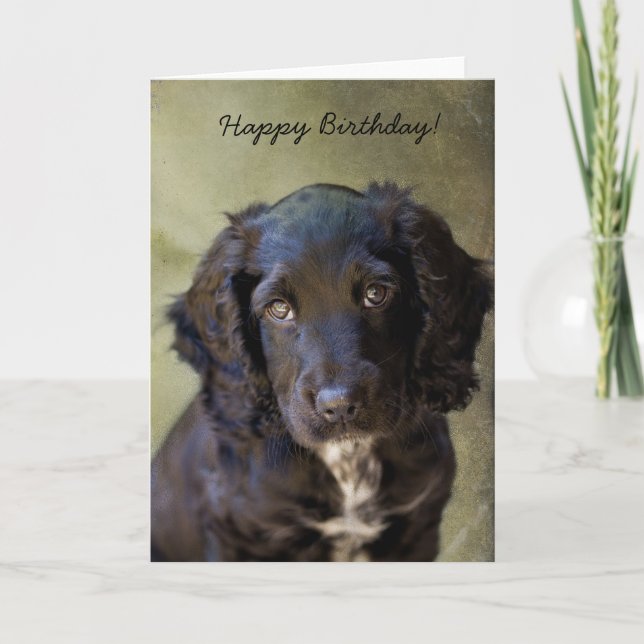 Tarjeta de cachorro de corte (Anverso)