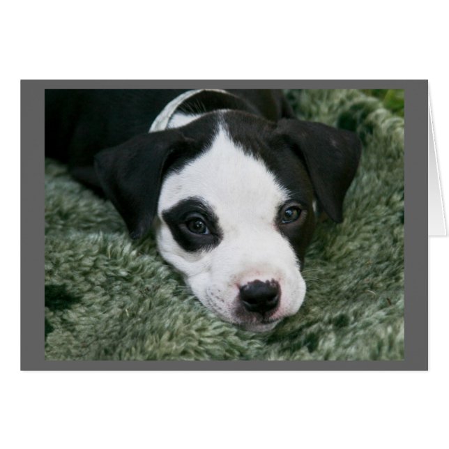 Tarjeta de cachorro de Pit Bull Terrier - "Angie" (Anverso (Horizontal))