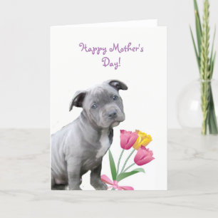 Tarjeta de cachorro feliz Día de la Madre Pitbull