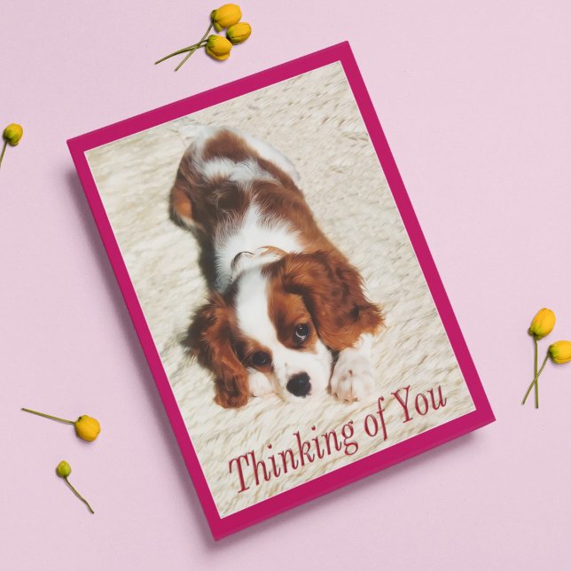 Tarjeta de cachorro King Charles Spaniel 'Pensando (Subido por el creador)